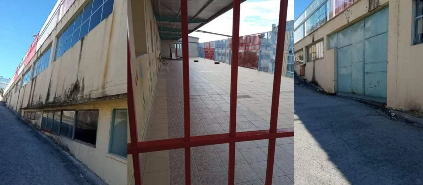 Σοκ στα σχολεία: Παιδιά αρρώστησαν από ποντίκια - Αυτή είναι η «καταπληκτική ποιότητα ζωής» κατά τον Κ.Μητσοτάκη;